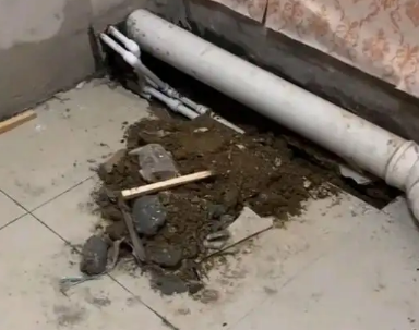 珠海市卫生间漏水检测哪家好